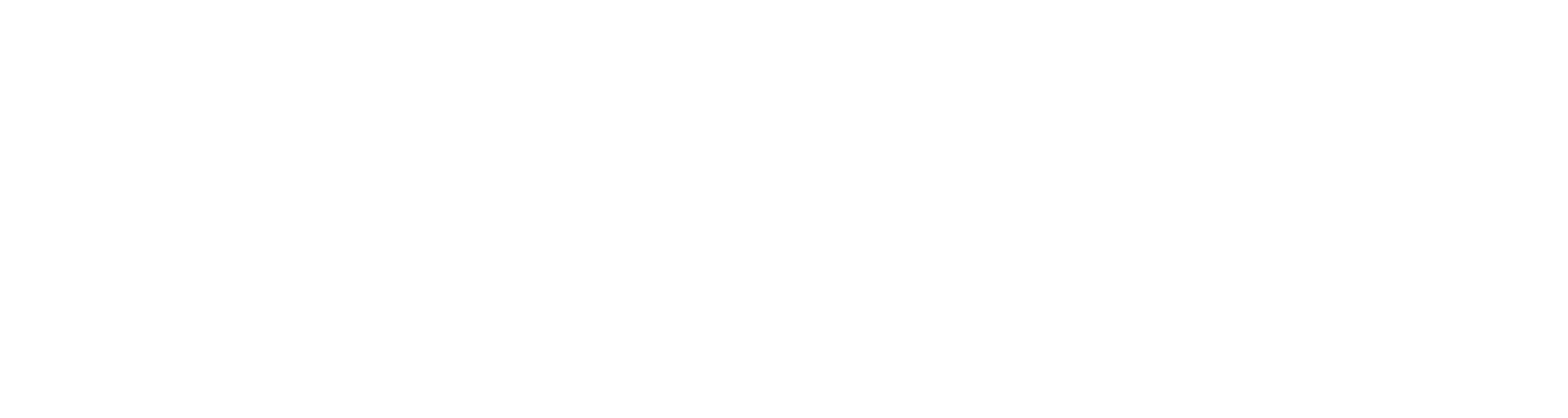 logo_2_white